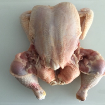 Chicken with legs cut
